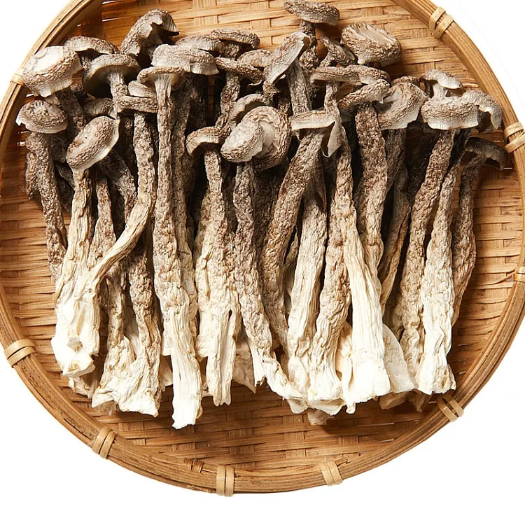Dried Deer Antler Mushroom 50g 50 g