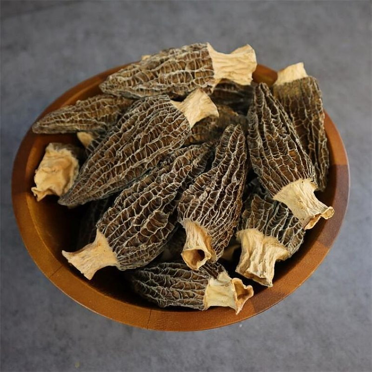 Extra-Large Morel Mushrooms
