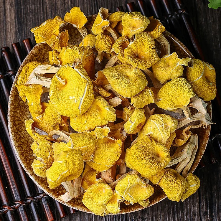 云南高原山珍鸡油菌