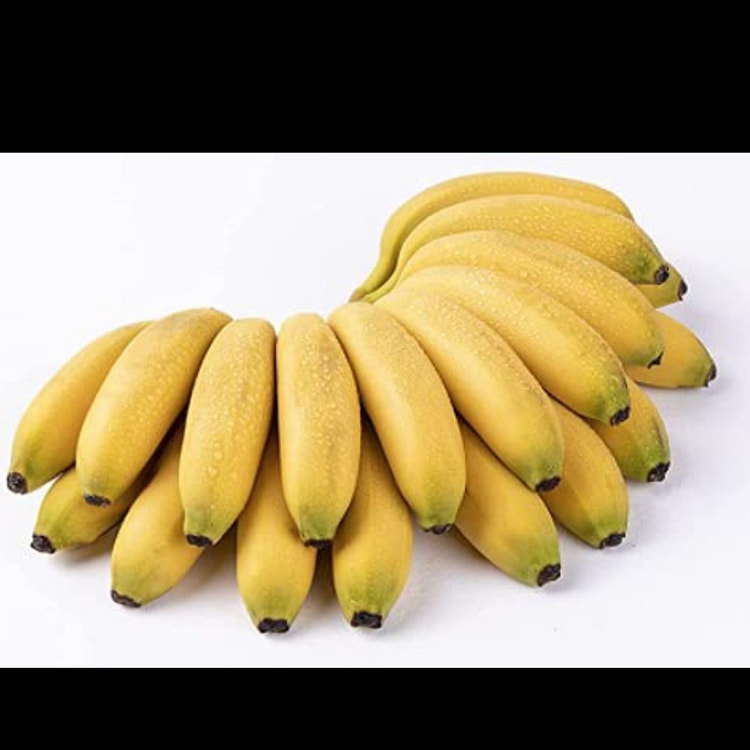 Apple Bananas, Fresh Apple Bananas, Manzano Banana 1 bunch