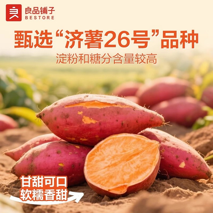 Bestore Fresh Steamed Dried Sweet Potato 500g