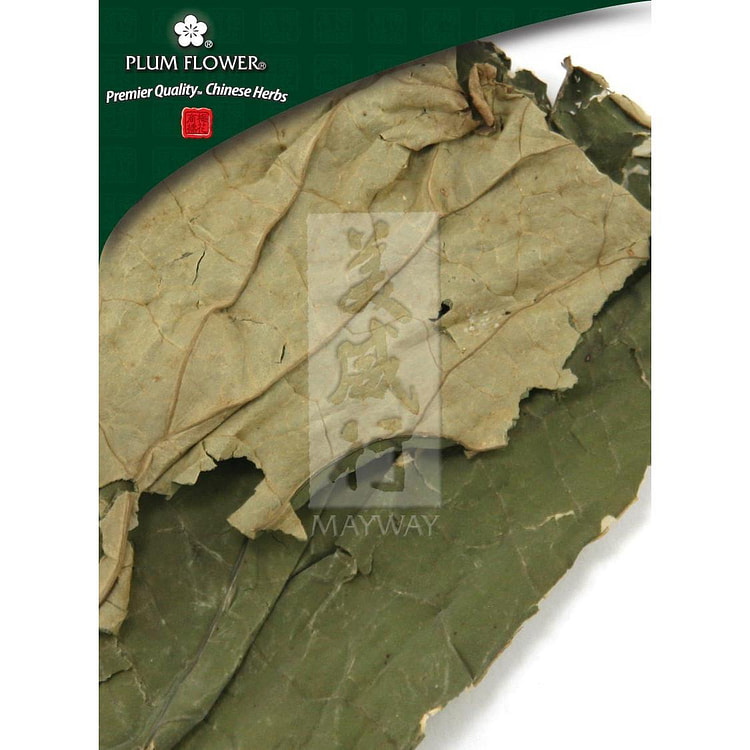 He Ye, unsulfured Nelumbo nucifera leaf