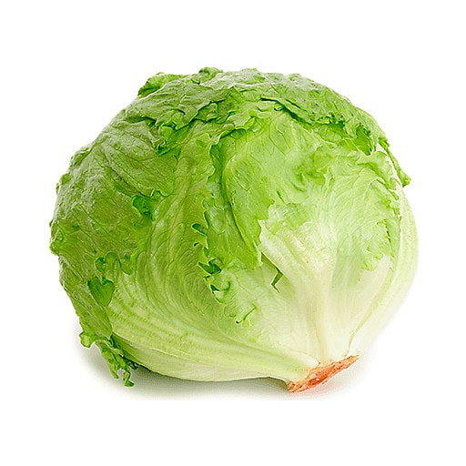 Organic Iceberg Lettuce