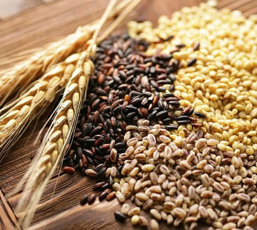 XinYe Multi-Grain Rice 2.2 lb