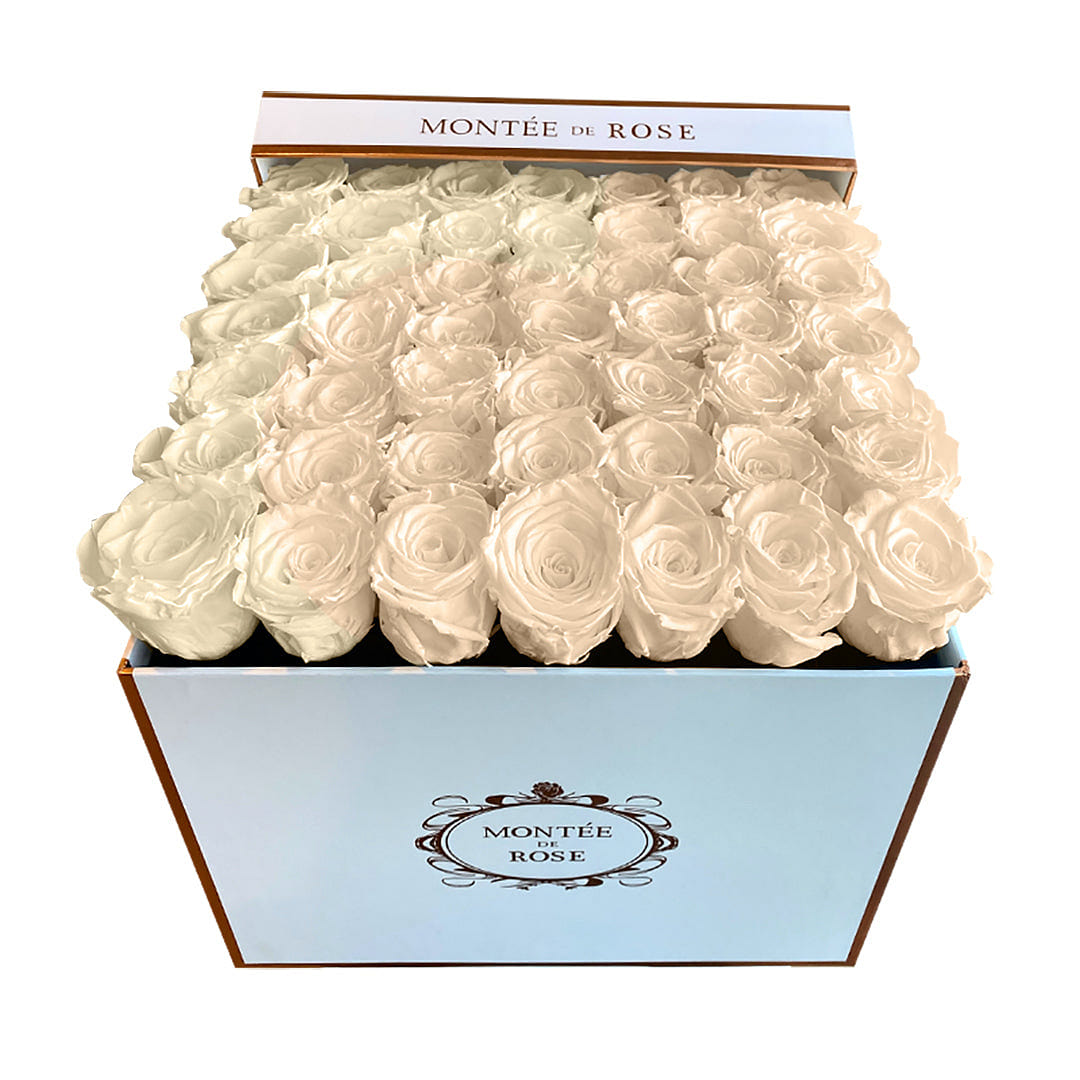 White Large Square Cream 1 each