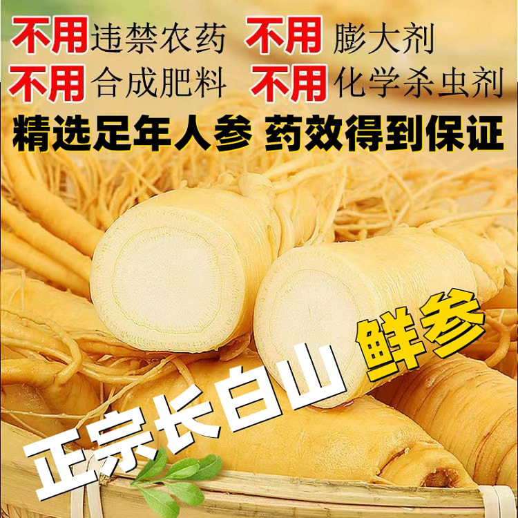 东北特产长白山人参 鲜人参 真空包装泡酒煲汤*3支