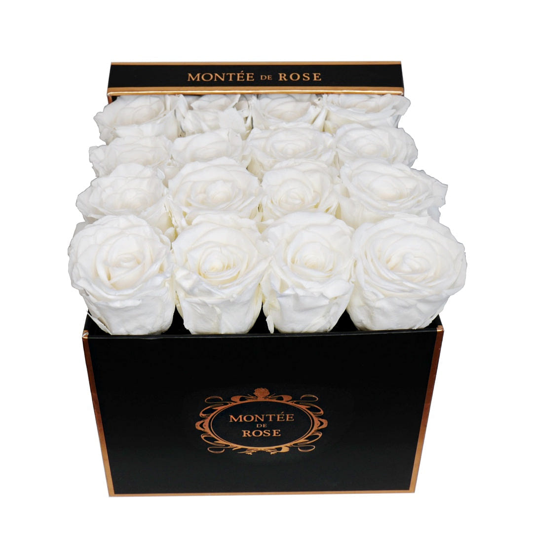 Black Medium Square Pure White 1 each