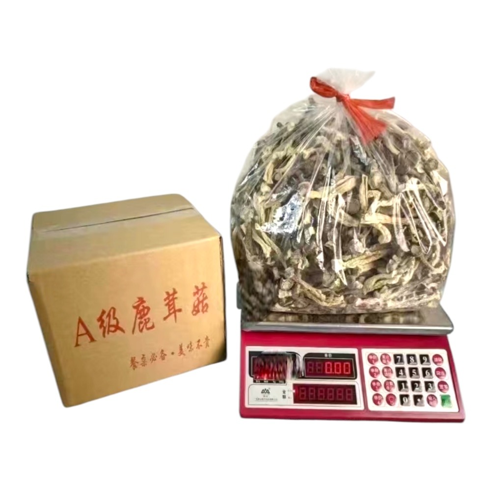 200g Mushroom 鹿茸 | Dried Premium Velvet 鈴之助 しいたけ種駒