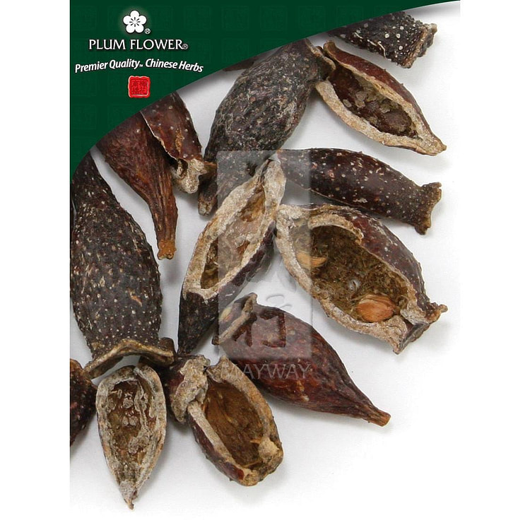 Jin Ying Zi, unsulfured Rosa laevigata fruit