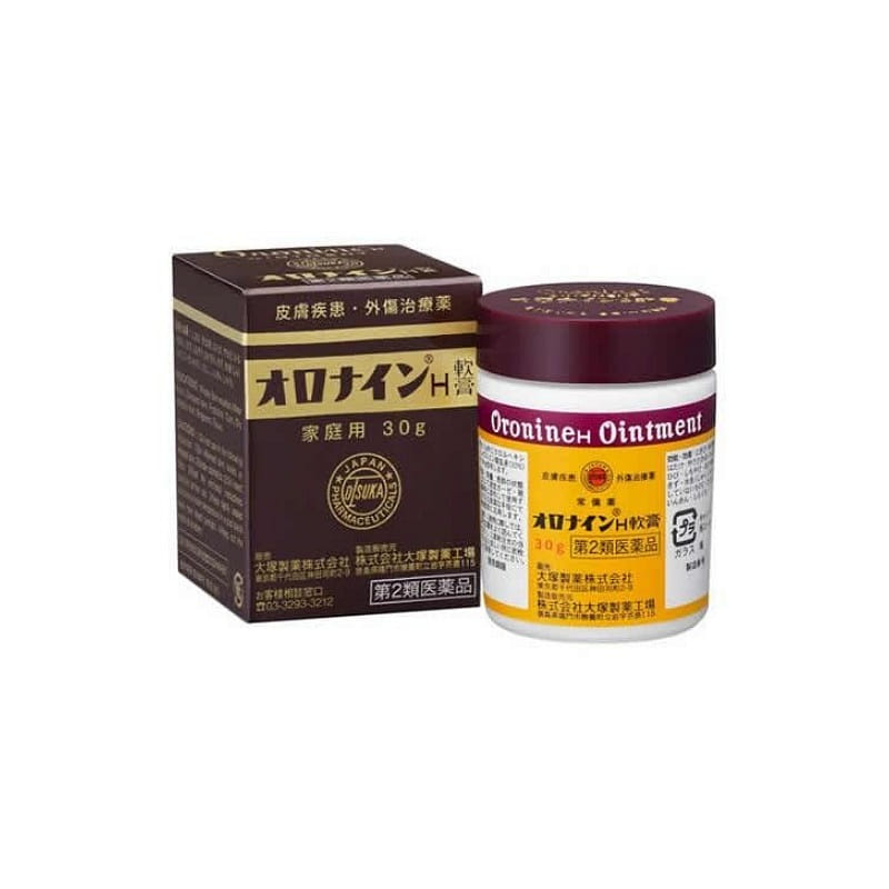 Otsuka Oronine H Ointment 100g 1 each