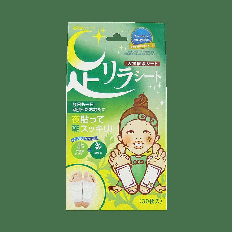 Wormwood Detox Foot Patch 15 count