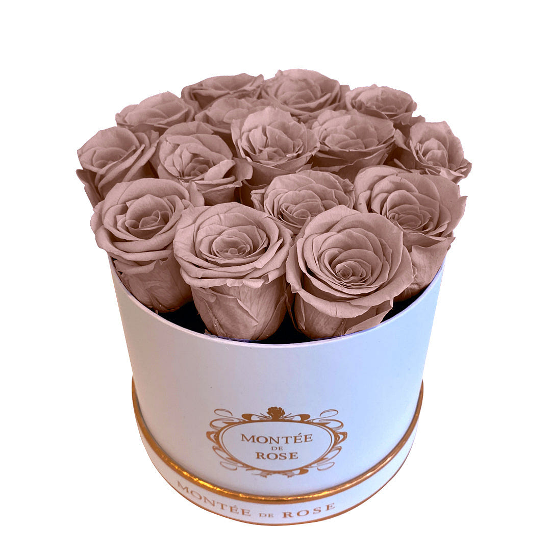 White Medium Round Blush 1 each