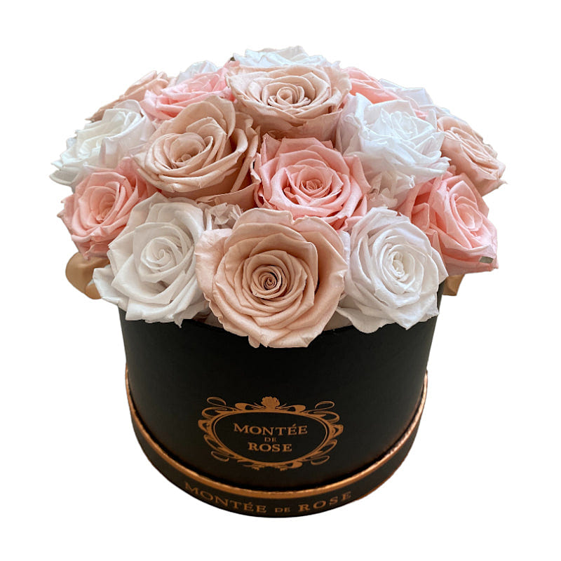 Blush Dome 1 each