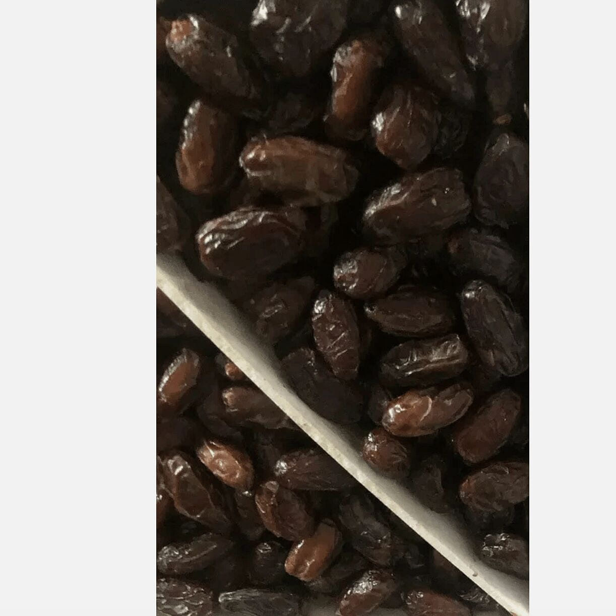 MEDJOOL DATES 11 LB. LARGE. CALIFORNIA FRESH DATES 1 pack