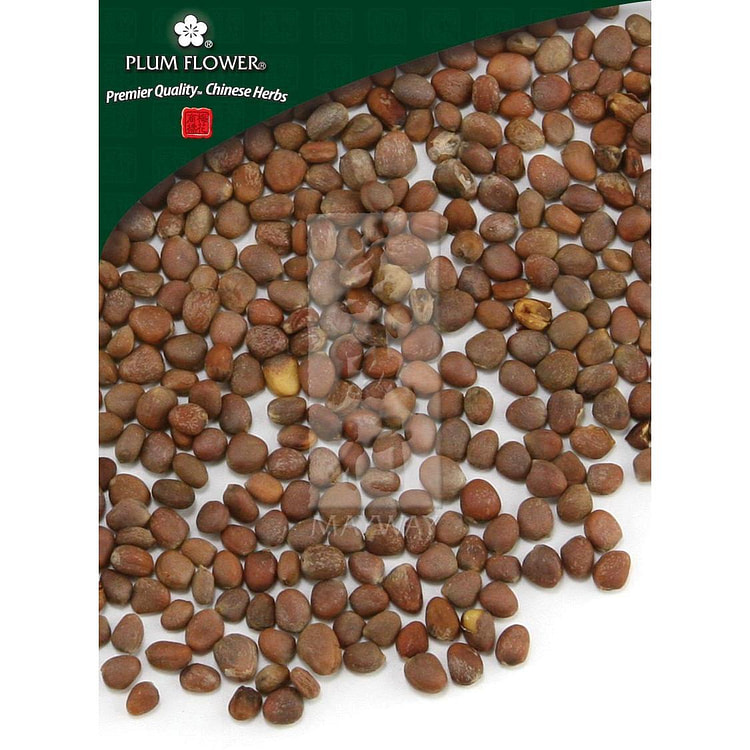 Lai Fu Zi, unsulfured Raphanus sativus seed