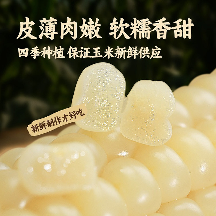 云南西双版纳拇指小玉米 老少皆宜