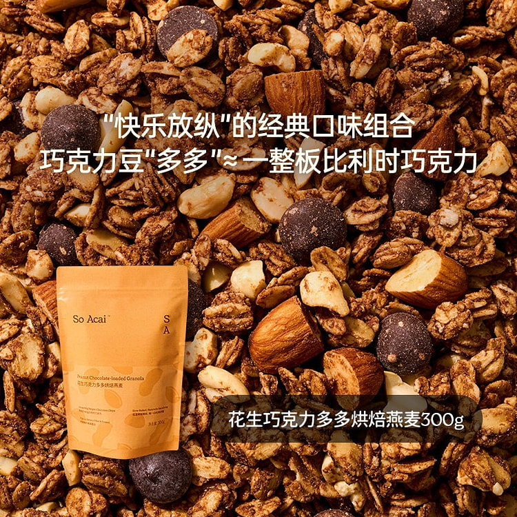 soacai·花生巧克力多多燕麦片酸奶碗300g 300 克