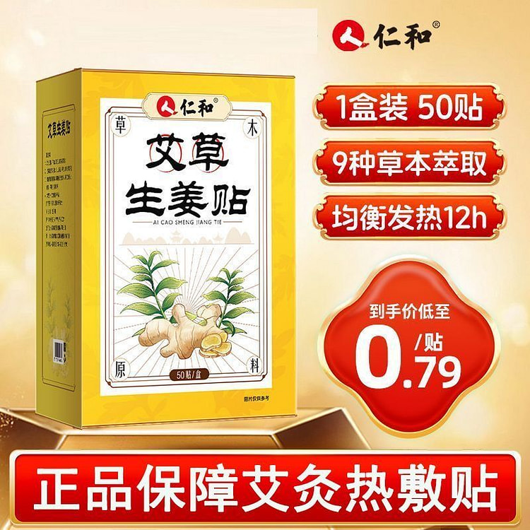 Renhe Mugwort & Ginger Patch (50 Patches) 1 pack