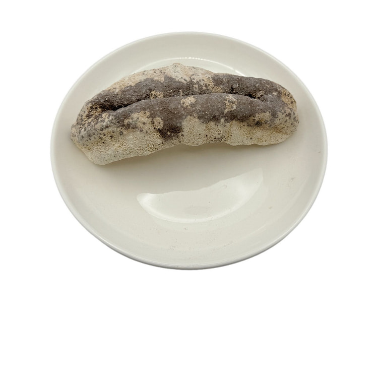 Fiji Dried Sea Cucumber (approx. 0.6 - 0.7lb)