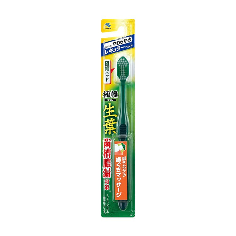 生葉 極幅ブラシ レギュラー やわらかめ 1本入 1 個