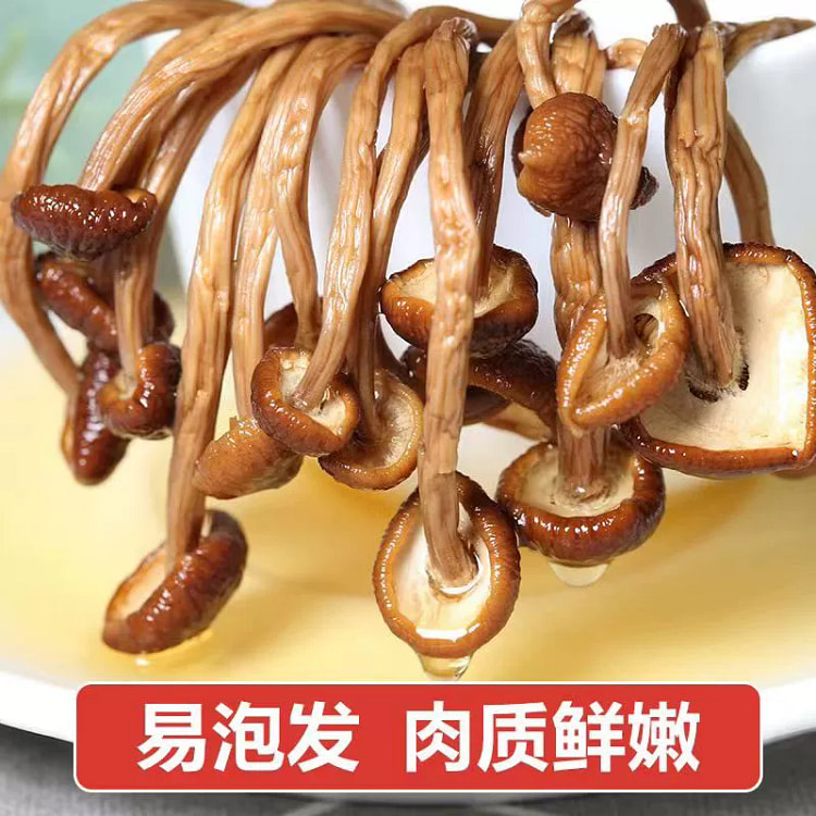 菌状元古田茶树菇农家新货香菇干货100g*1包