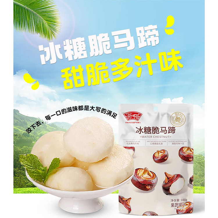 浙梅冰糖脆马蹄荸荠去皮即食果蔬菜干休闲零食小吃 100g*1袋装