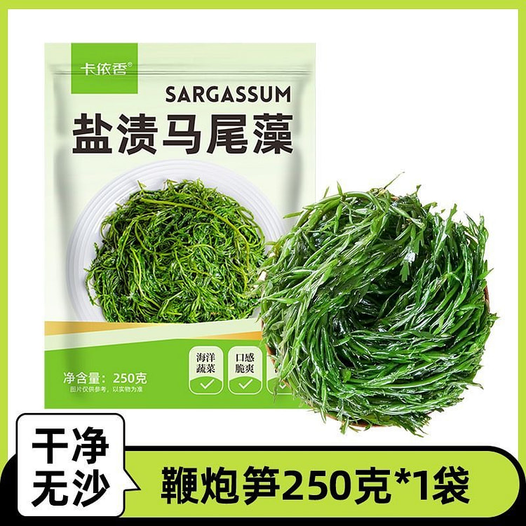 鞭炮笋海笋长寿菜凉拌菜海草藻菜火锅食材250g*1 250 克