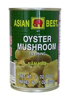 Asian Best Oyster Mushroom 15 oz