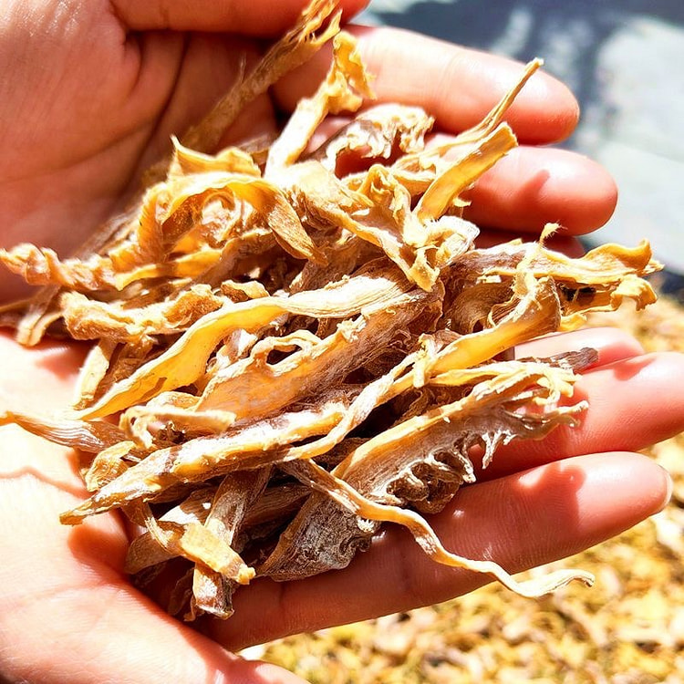 Dry new bamboo shoots