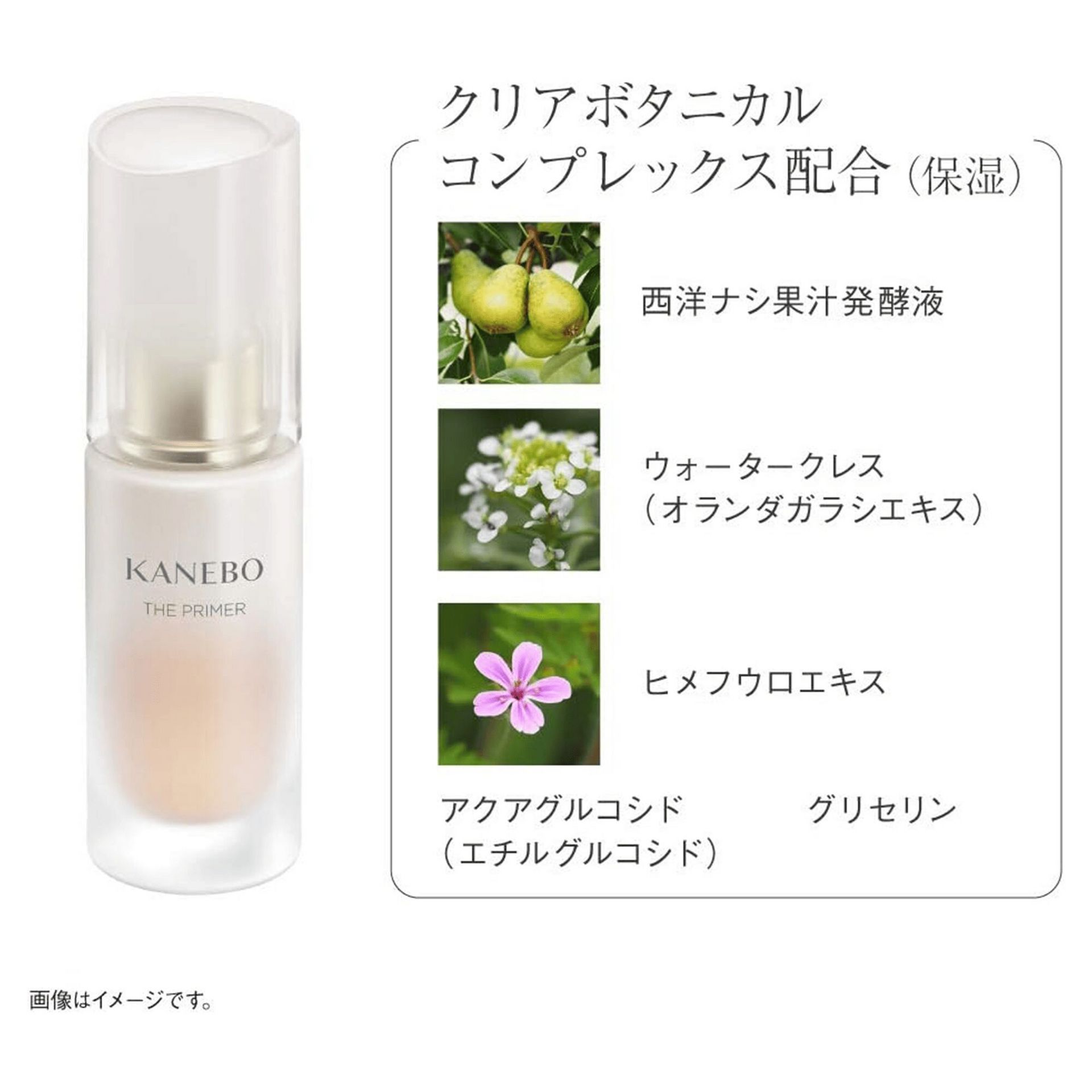 Kanebo The Primer 27ml 1 each - Weee!