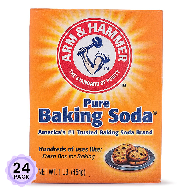 Arm & Hammer 小苏打粉 1 磅*24 包