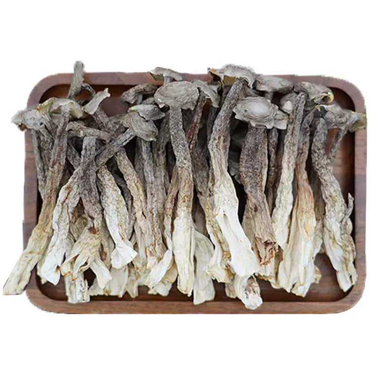 珊初物鹿茸菇250g*1