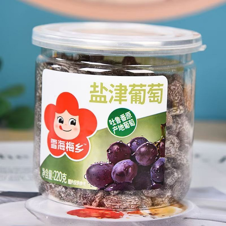 雪海梅乡盐津葡萄干 无核红葡萄1罐 220 克