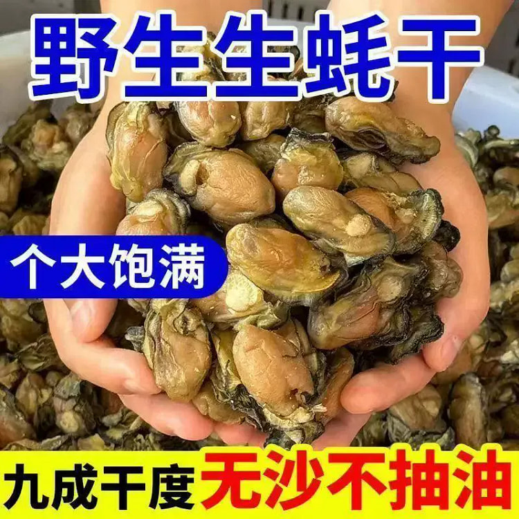湛江生蚝干 野生海海鲜蛎蚝豉新鲜250g/袋 250 克