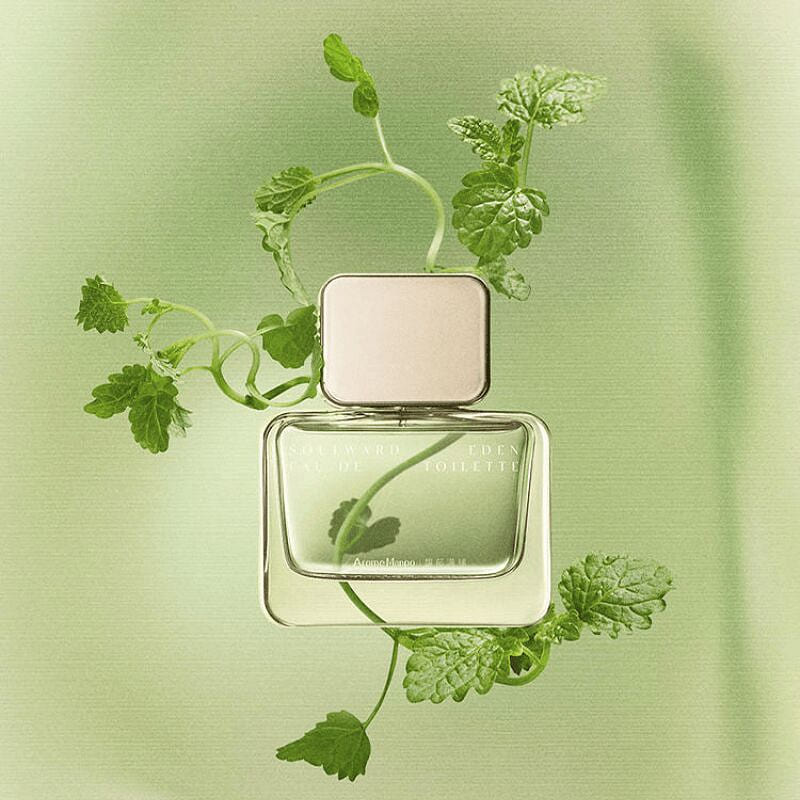 Arome Mango SOULWARD EDEN PERFUME 50 ml