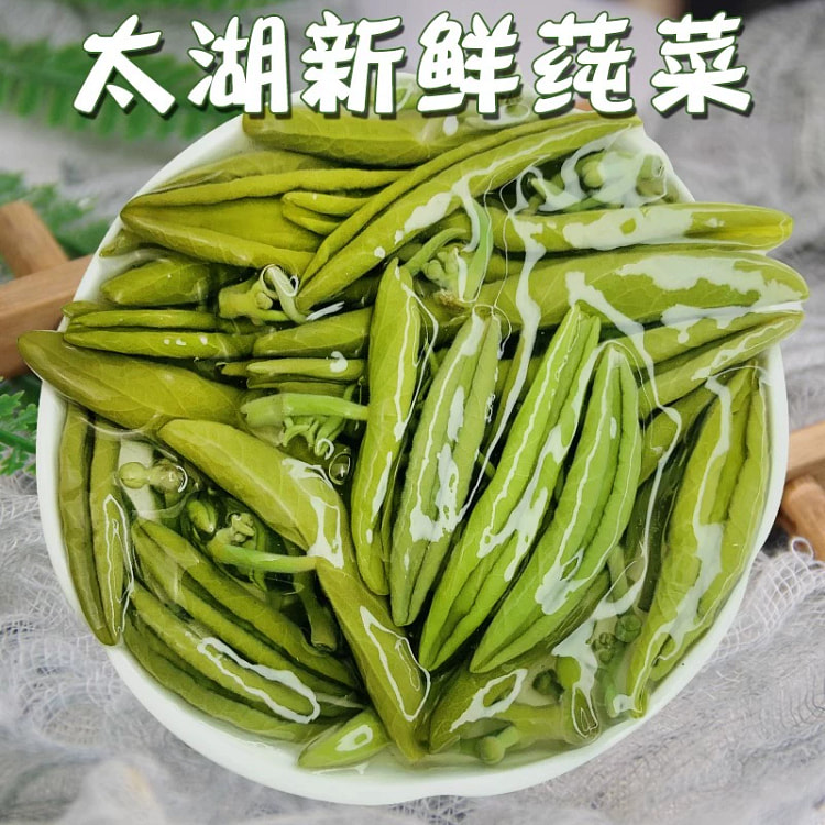 苏州太湖新鲜莼菜嫩芽级野菜350g*1袋