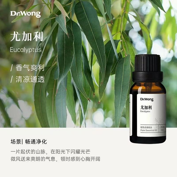 Eucalyptus essential oil 15 ml