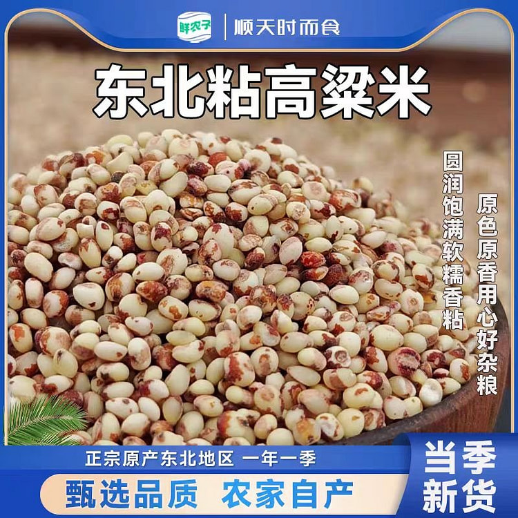 东北正宗粘高粱米500g*1袋黏糯红高粱米农家新米杂粮粥高粱米