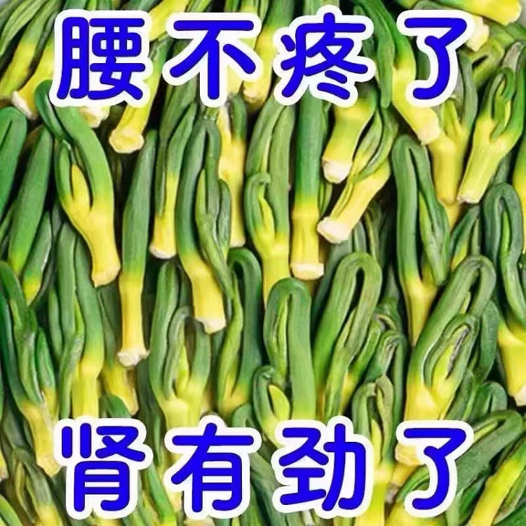 莲子心养生茶4g*10包
