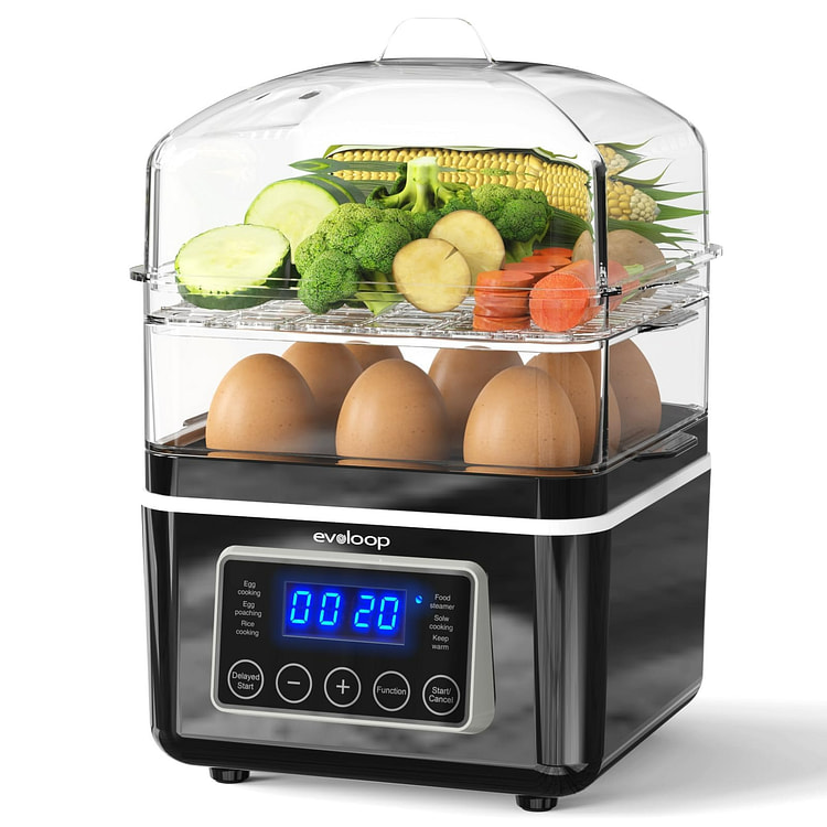 2 Tiers Electric Food Steamer for Cooking, 4QT 1 each