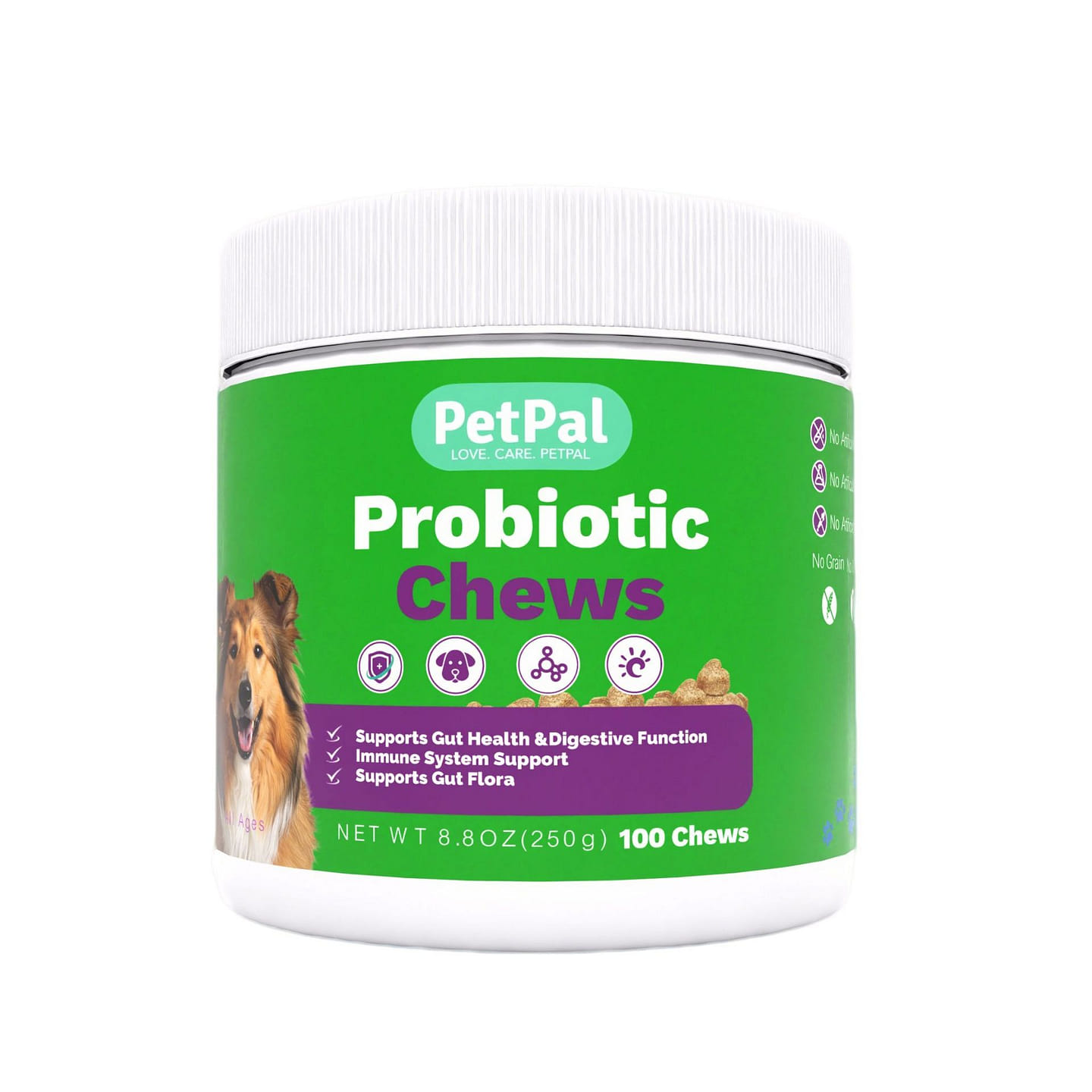 Healthy Dog Treat, Probiotics for Gut Health 100ct 1 can