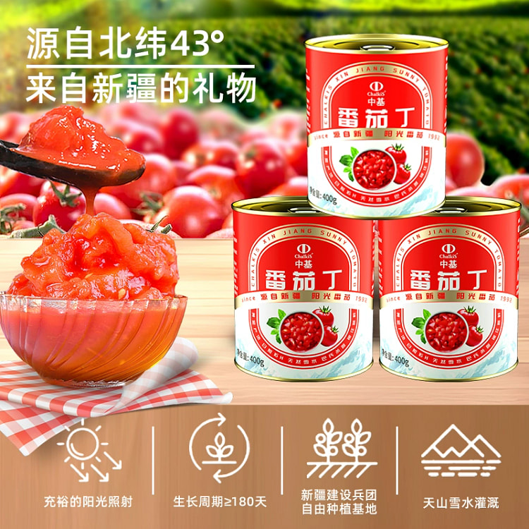 中基番茄丁罐头无添加0蕃茄小丁去皮西红柿块番茄酱 300g*1罐