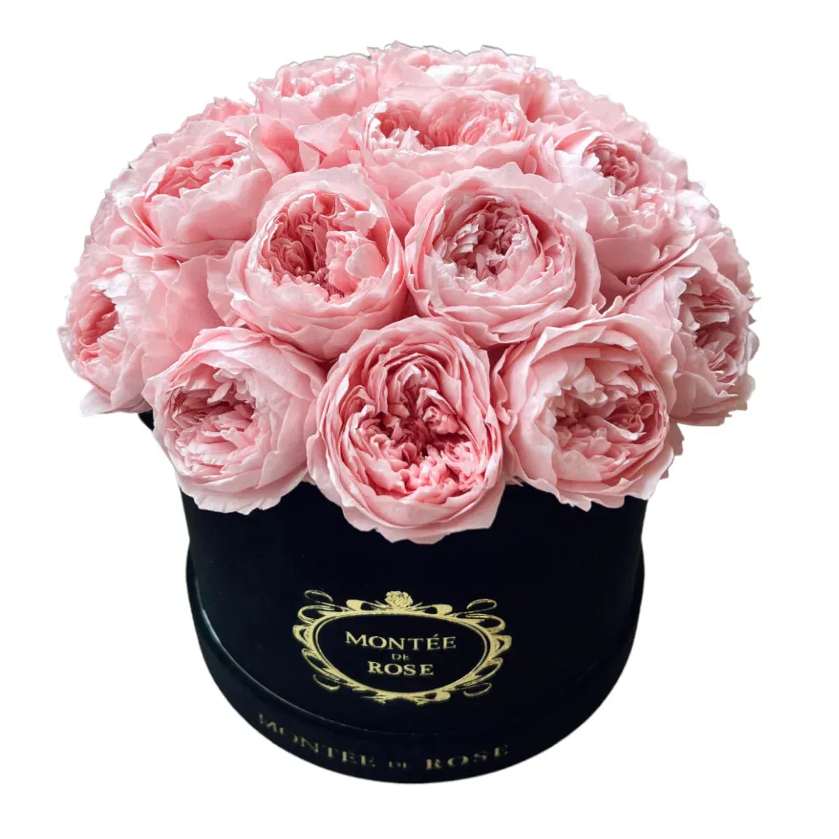 Black Suede Peony Dome Pink 1 each