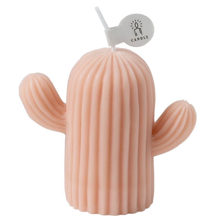 Home Cactus Scented Candle  - Pink 1 each