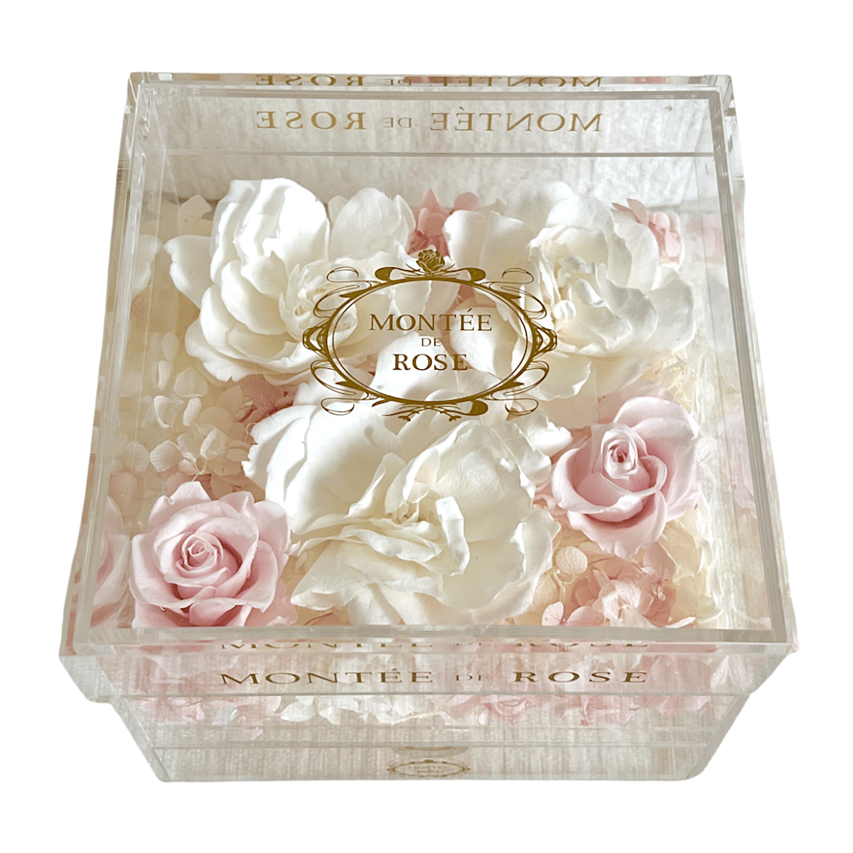 Gardenia Medium Acrylic Box 1 each