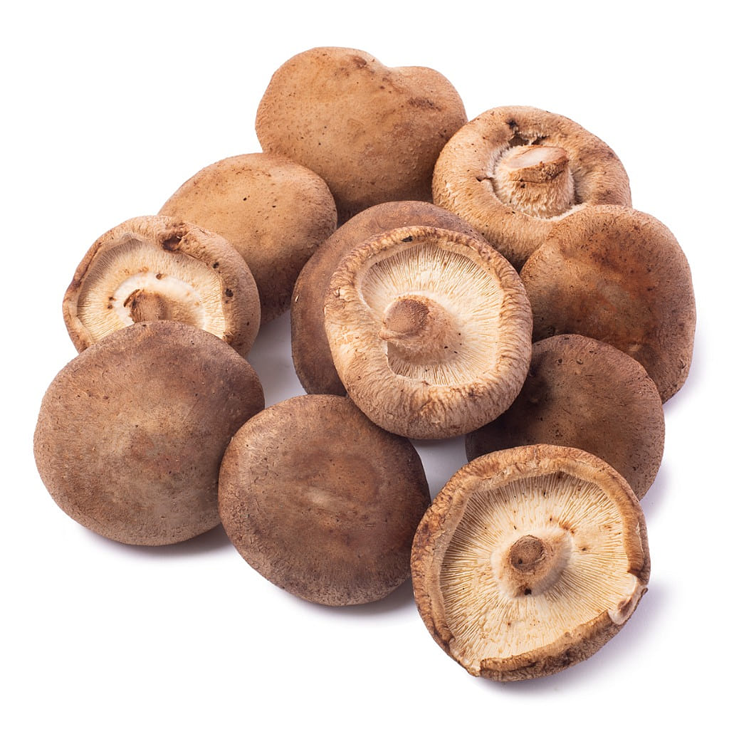 Organic Shiitake Mushroom 1 lb