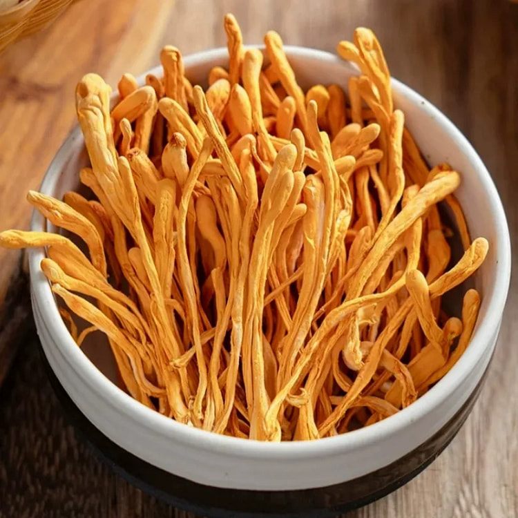 菌状元虫草花干货250g 250 克