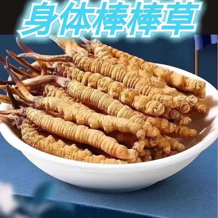 2024正宗野生冬虫夏草 金选AAA级虫草3根\g 正品虫草头期干货 高海拔冬虫草王（7g/盒）