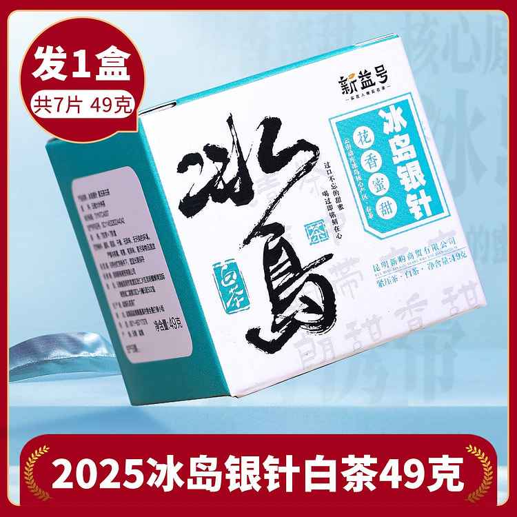 新益号冰岛银针白茶49g古树普洱茶生茶口粮茶小茶饼 49 克