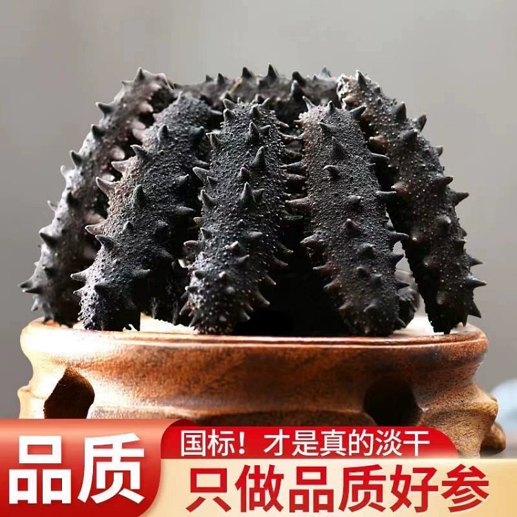 大连淡干野生海参干货*1盒